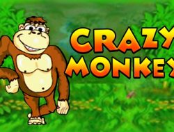 Crazy Monkey