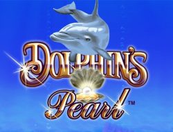 Dolphins Pearl