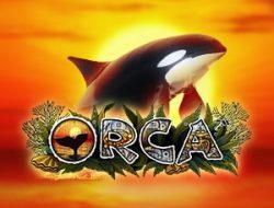 Orca