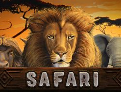 Safari