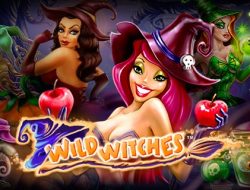 Wild Witches